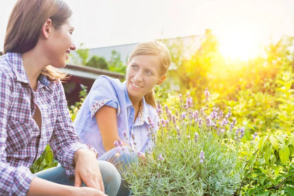 Portrait Shop Owner Showing Flowers Pot Woman Buyer Lens Flare — Stock Photo, Image