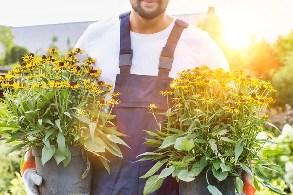 Retrato Jardineiro Maduro Carregando Flores Pote Loja — Fotografia de Stock