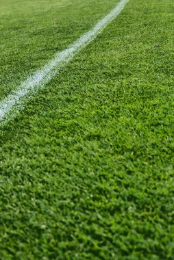 Stadyumdaki futbol sahasını kapatın.