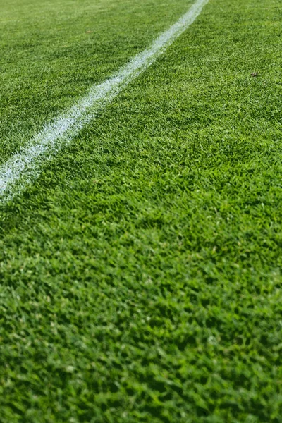 Gros Plan Terrain Football Dans Stade — Photo