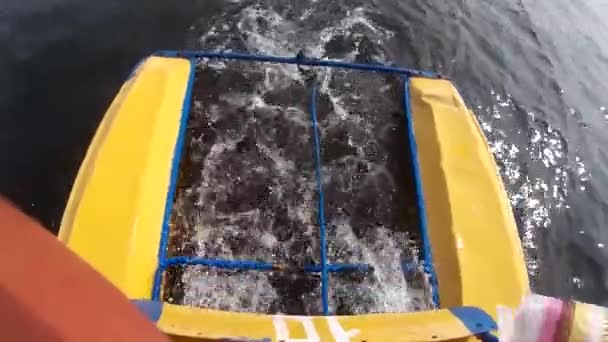 Katamaranblätter Versprühen Meerwasser Das Heck Eines Katamarans Aktion Die Klingen — Stockvideo