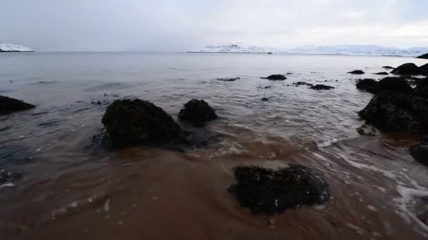 Pobřeží Severního Ledového Oceánu Vlny Vznášejí Písčitém Pobřeží Šedá Ponurá — Stock video