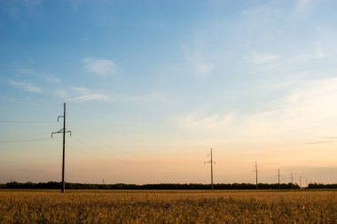 Pembe günbatımının ışınları altında altın buğday tarlasına yayılan elektrik iletim hatları