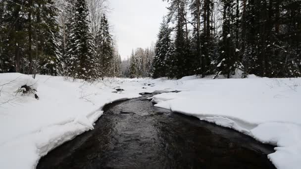 Der Winter Lässt Nach Und Der Frühling Fordert Seinen Tribut — Stockvideo