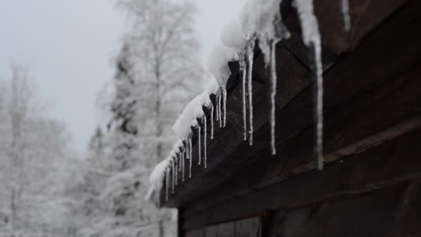 Med Början Våren Snön Taket Badet Börjar Smälta Och Bildar — Stockvideo