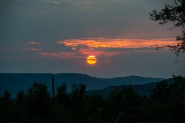 Yazın, ağaçların arka planında, dağlarda kızıl gün batımı.