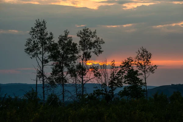 Summer Fiery Red Sunset Mountains Background Trees — Stock Photo, Image