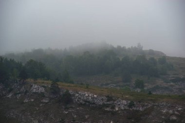Alçak dağlarda sisli bir yaz şafağı