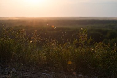 Yaz manzarası, dağ yamacında altın gün batımı