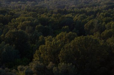 Yaz manzarası, dağ yamacında altın gün batımı