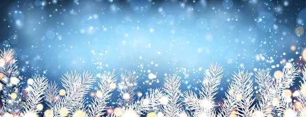 Winter banner met witte spar takken — Stockvector