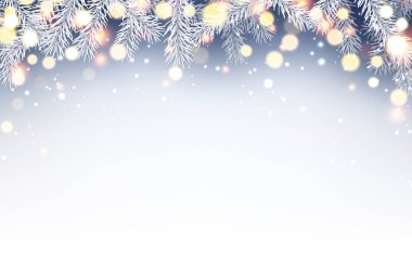 Noel kartı ile çam dalları