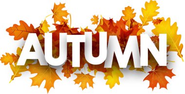 Turuncu yaprakları ile sonbahar afiş. 