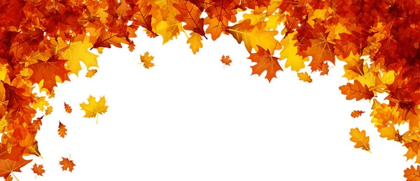 Herfst banner met oranje bladeren. — Stockvector