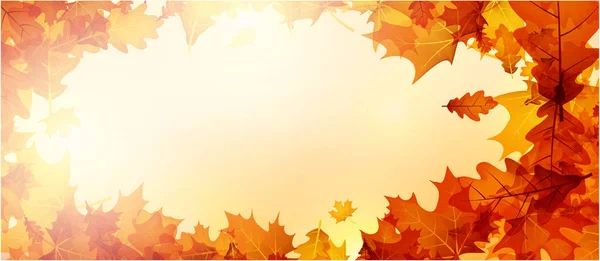 Banner de outono com folhas de laranja . — Vetor de Stock