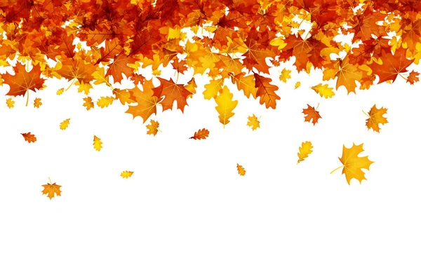 用橙色树叶秋天背景. — 图库矢量图片