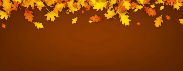 Осеннее знамя с оранжевыми листьями . — стоковый вектор