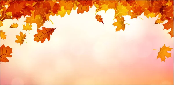 Fundo de outono com folhas de laranja . —  Vetores de Stock