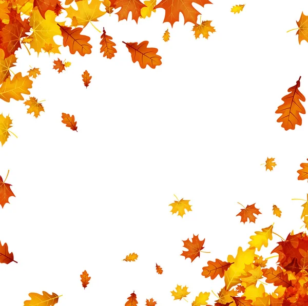 Turuncu yaprakları ile sonbahar arka plan. 