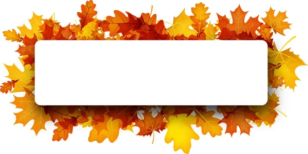 Autumn banner with orange leaves. — Stock Vector