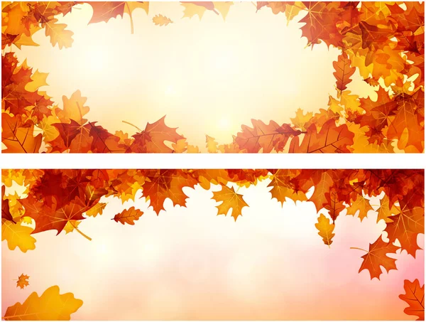 Bandeiras de outono com conjunto de folhas de laranja . — Vetor de Stock