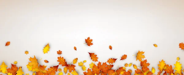 Herbstbanner mit orangen Blättern. — Stockvektor