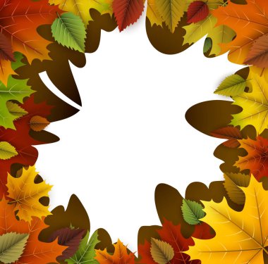 renkli sonbahar yaprakları