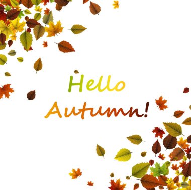 Merhaba sonbahar kartı.