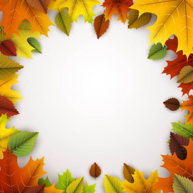 renkli sonbahar yaprakları