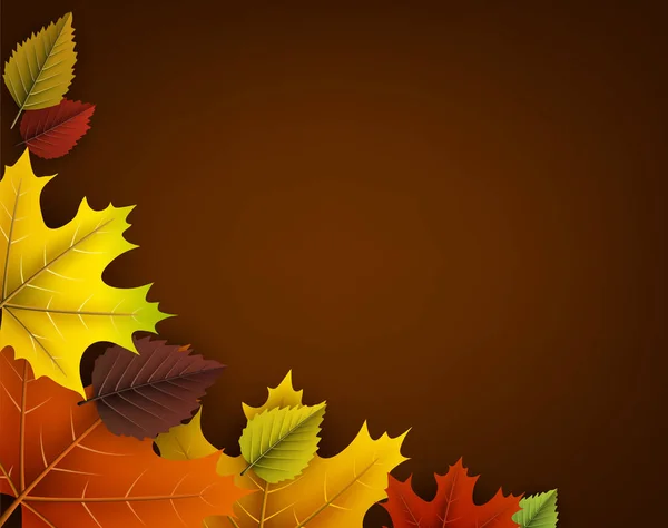 Kolorowych liści jesienią — Wektor stockowy
