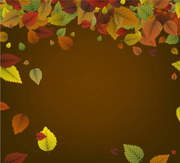 Осенние цветные листья — стоковый вектор
