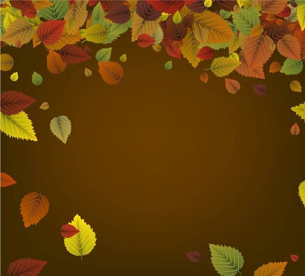 Hojas coloridas de otoño — Vector de stock