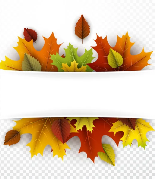 Autumn colorful leaves — Stock Vector