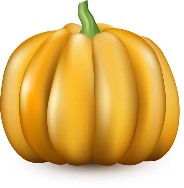 Bannière Halloween avec citrouille — Image vectorielle