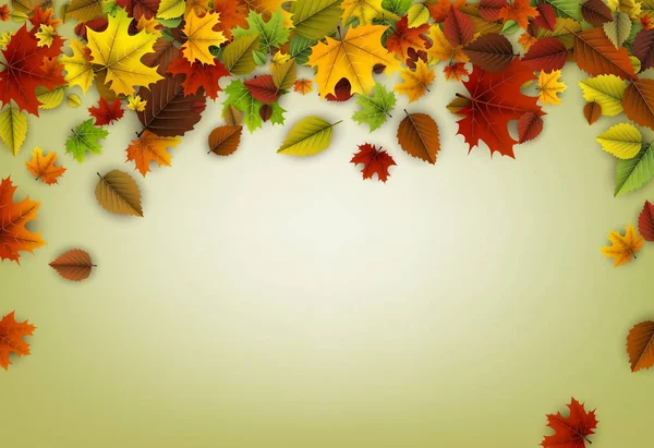 Autumn colorful leaves — Stock Vector