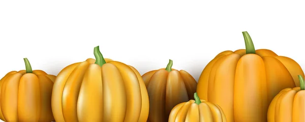 Banner with orange pumpkins — Stock Vector