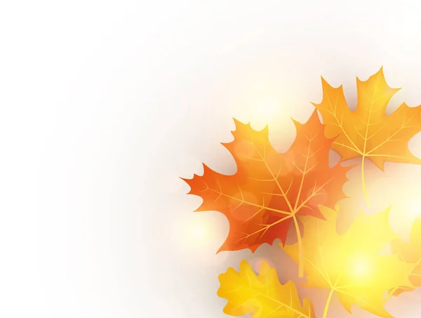 金色的秋天叶子 — 图库矢量图片