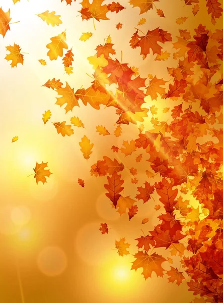 金色的秋天叶子 — 图库矢量图片