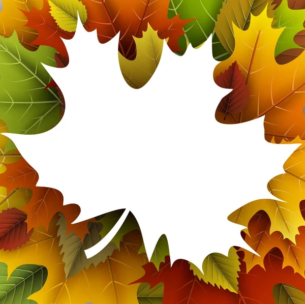 Outono folhas coloridas — Vetor de Stock