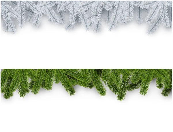 Green or white spruce branches — Stock Vector