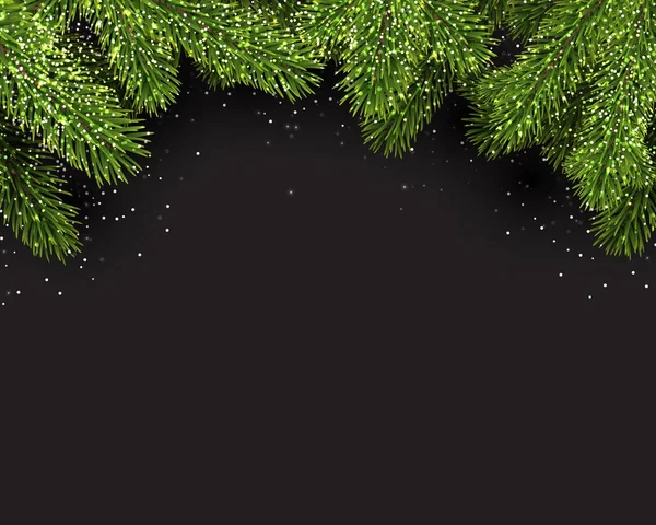 Branches d'épinette réalistes — Image vectorielle