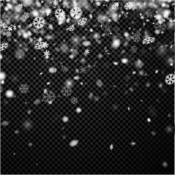 Winter banner with snowflakes — Stock Vector