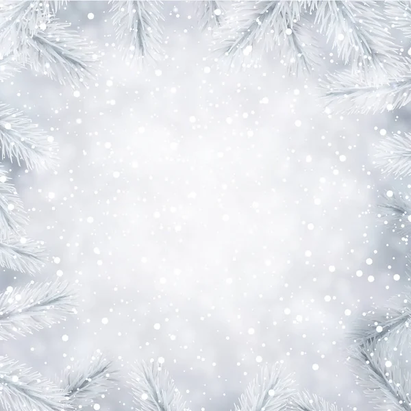 Sfondo invernale con rami di abete bianco . — Vettoriale Stock
