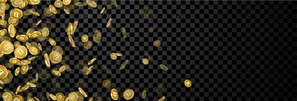 Bannière avec chute Bitcoins d'or . — Image vectorielle