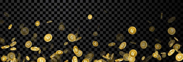 Bitcoins banner alá tartozó arany. — Stock Vector