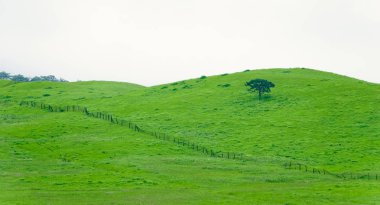 Yeşil bir tepede eski çit