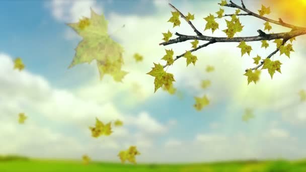 Albero astratto scosso dal vento. Un sacco di foglie cadenti su sfondo bianco — Video Stock