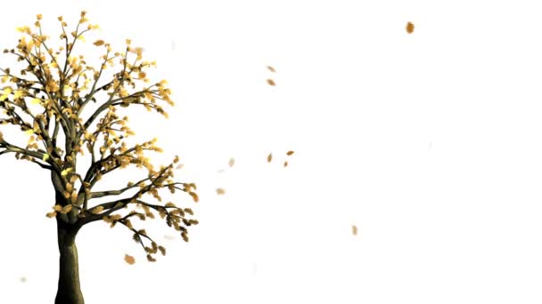 Absztrakt fa szél rázta. Sok tartozó levelek, fehér háttér — Stock videók