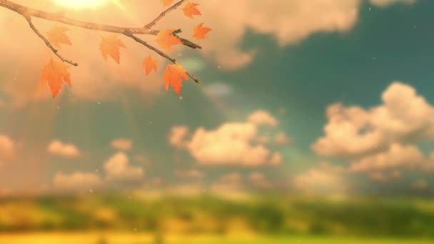 Foglie di autunno di un acero su uno sfondo sfocato. Paesaggio nella stagione autunnale — Video Stock
