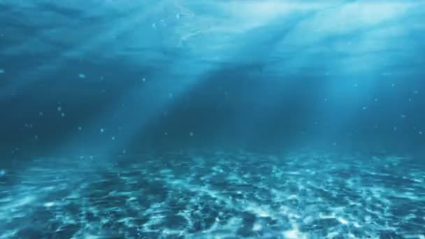 Underwater scene. Summer travel background. Check out my other underwater and seascape animations — Stock Video